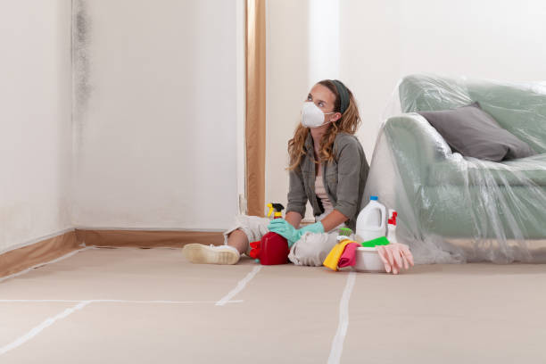 Reliable Commercial Mold Remediation contractor in Issaquah, WA by WQB Mold Removal